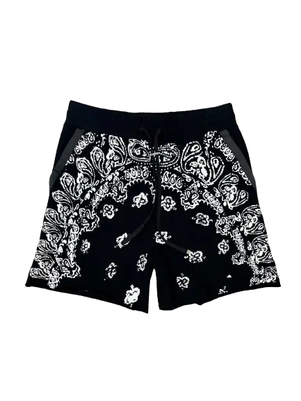 AMIRI- SHORT Metroutfits