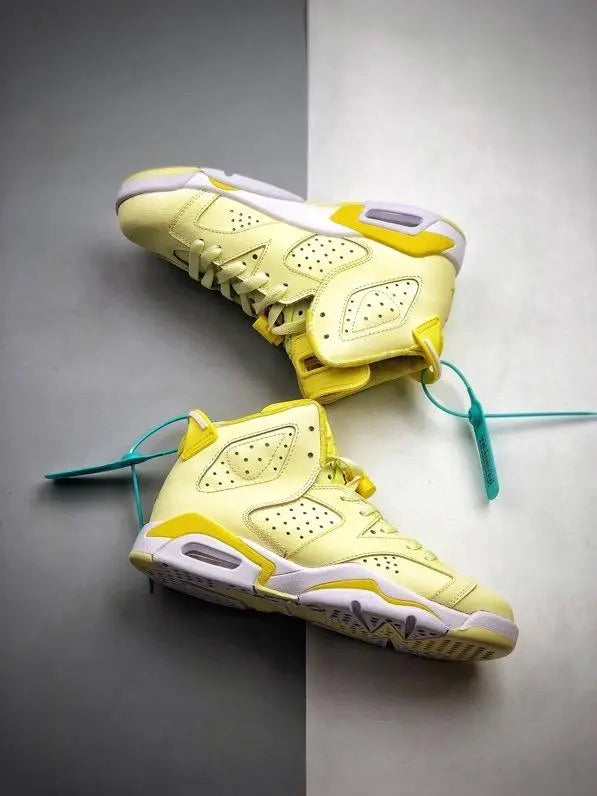 JORDAN - AJ 6“FLORAL” - https://treadfitpro.com/