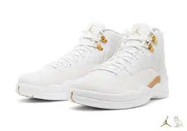 JORDAN - AJ12 "Drake" - https://treadfitpro.com/