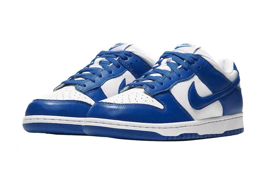 Nike Dunk Low Blue - https://treadfitpro.com/